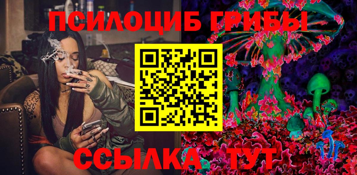 Псилоцибиновые грибы GOLDEN TEACHER  Вход с VPN  Ливны  Псилоцибиновые грибы MAGIC MUSHROOMS 