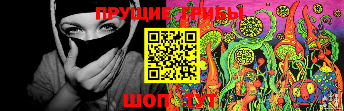 Псилоцибиновые грибы Psilocybe Ливны